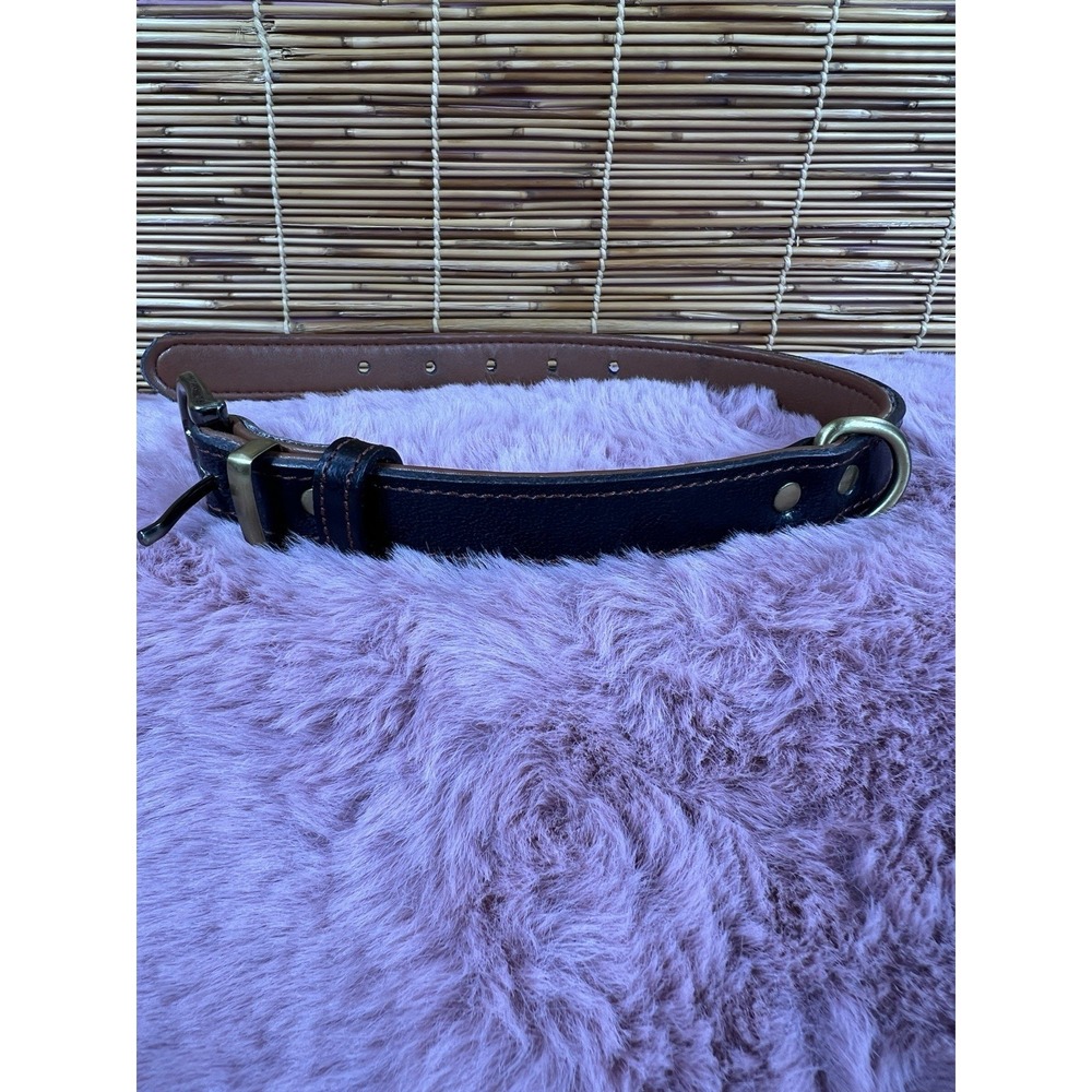 Dog Collar For Medium Dogs, Classic Adjustable With Brass Metal Buckle 13.38-19"